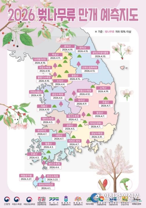 벚나무류 만개 예측지도