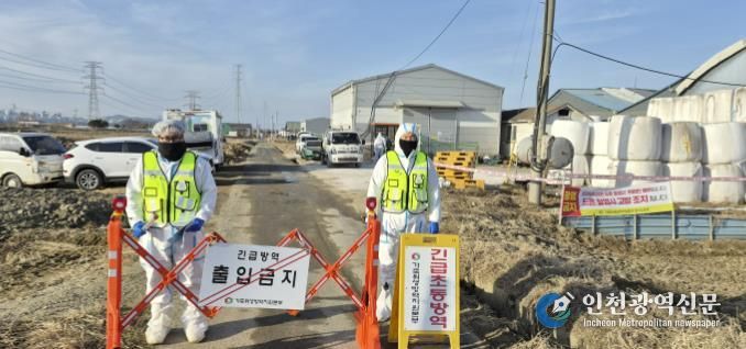 구제역 발생 농가 현장