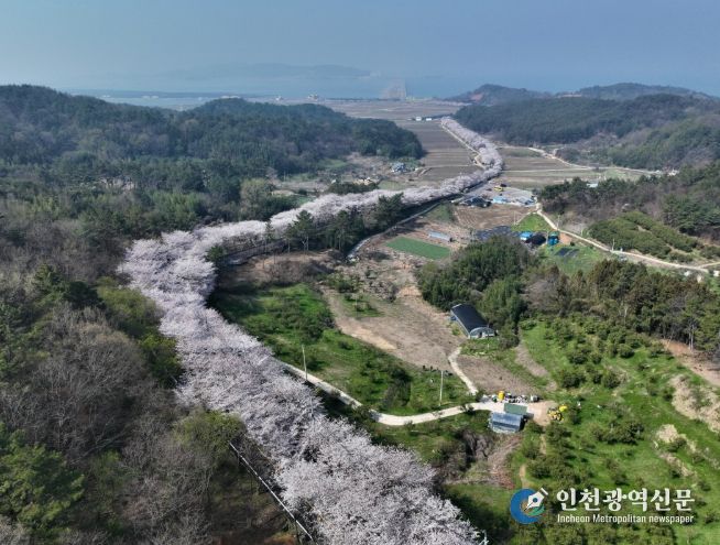 3월, 봄바람 따라 떠나는 고흥 여행