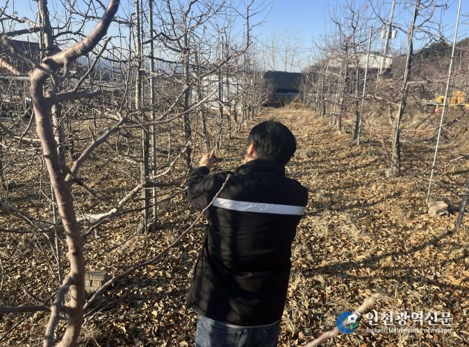 과수화상병 예찰 및 약제 배부