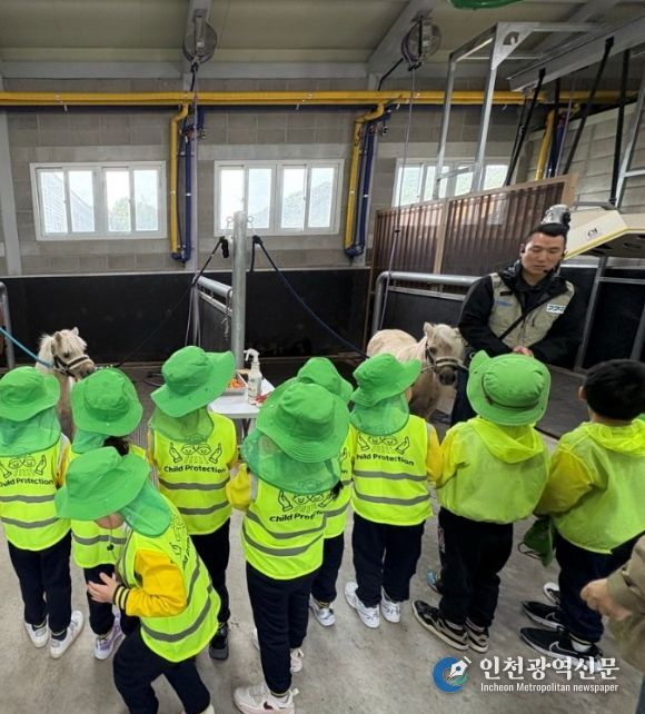 어린이 말체험 사진