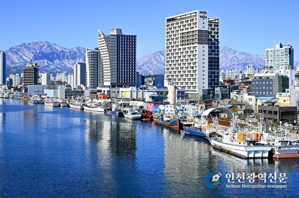 어선 현대화 관련 속초시 관내 항구 전경