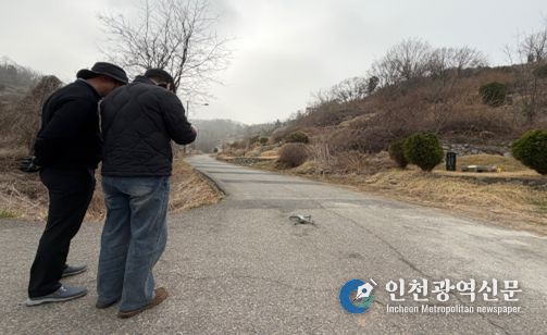 인천가족공원(3-2단계) 드론촬영