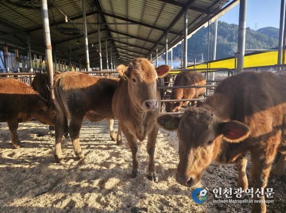 무주군, ‘깨끗한 축산농장’ 발굴 주력 친환경 축산 확산 위해 신청 받아