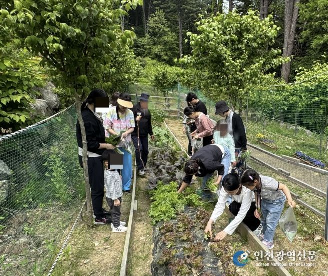 가평군 ‘숲의 약속’, 가족 힐링캠프 선착순 모집