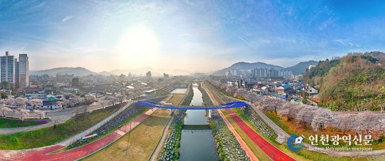 정읍시, ‘2026 벚꽃축제’ 3일 화려한 개막…“연분홍빛 봄의 향연”
