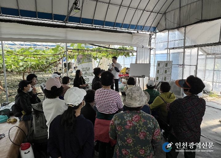 농촌인력지원 특별 기술교육(포도 알 솎기) 신청 접수