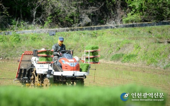 화천군이 지역 농가를 대상으로 농기계 수리 후 발생하는 폐유 수거 사업을 실시한다. 사진은 화천지역에서 이앙기 농기계로 모내기를 하고 있는 모습