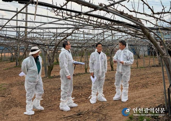 배 냉해 예방 현장점검