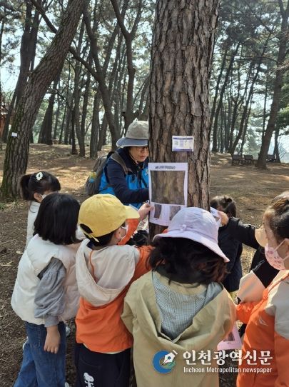 와글와글 움직이는 놀이터, 숲탐험대