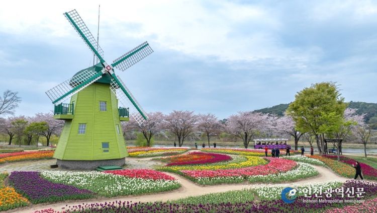 순천만국가정원 네덜란드정원