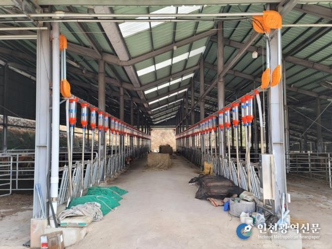 진주시, 기후 위기시대 ‘축산업’ 새로운 미래 개척 - 자동화 사료급이시스템 설치 전경