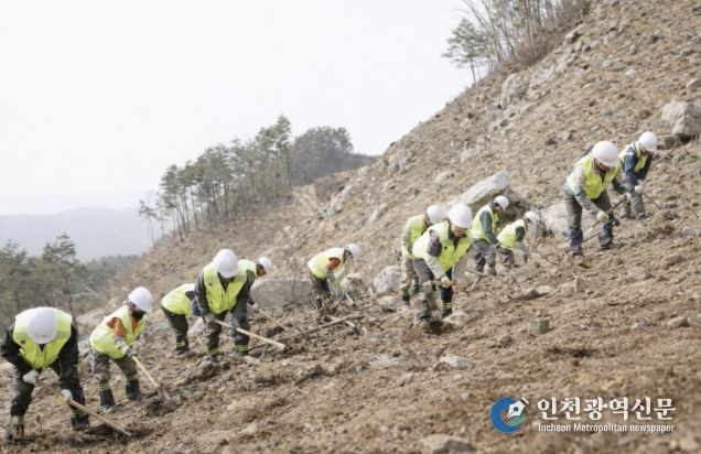거창군, 2026년 춘기 조림사업 적기 추진 완료