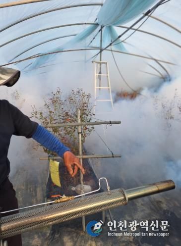 담양군, 봄철 ‘마을 일제 방역’ 총력… 해충 조기 박멸 나선다