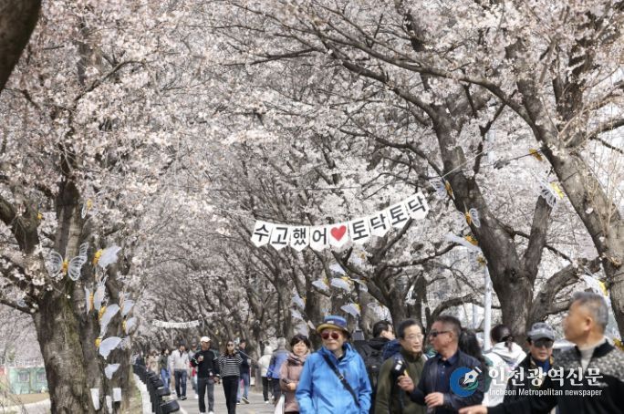 보은군, ‘2026 보은 벚꽃길 축제’ 성황리 마무리