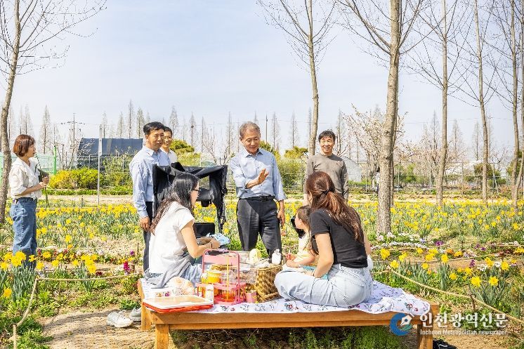 계양아라온 수선화 절정... 윤환 구청장 현장 점검