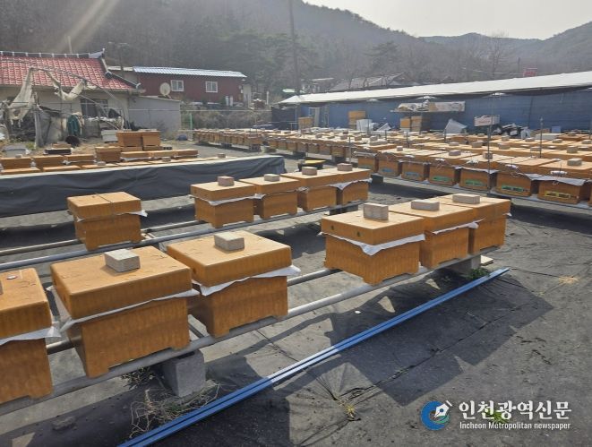 양봉 사육장 전경 사진