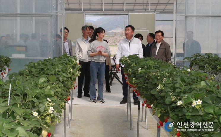 이범석 청주시장, 청년 창업농 딸기재배 현장 방문